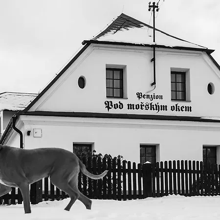 Pod Morskym Okem 3* Karlovice (Moravia-Silesia)