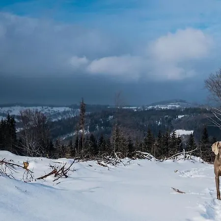 Pod Morskym Okem Karlovice (Moravia-Silesia)